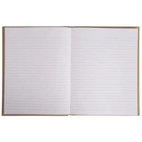 REG NATURE 220x170 192P LIGNE MARRON FSC® photo du produit