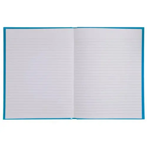 REG IDERAMA 220x170 192P LIGNE BLEU FSC&reg; photo du produit