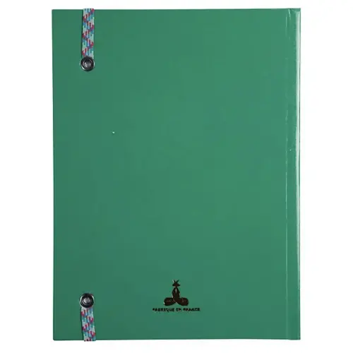 REG IDERAMA 220x170 192P LIGNE VERT FSC® photo du produit