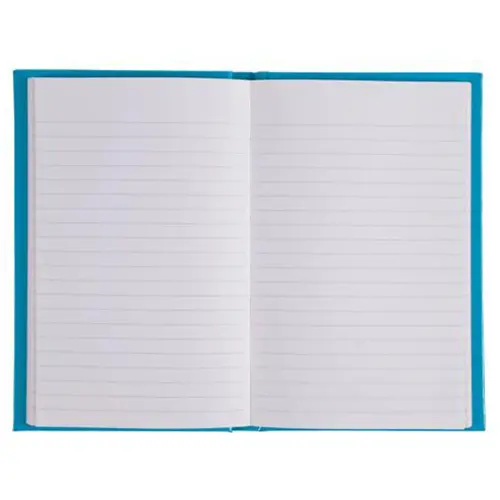 REG IDERAMA 170x110 192P LIGNE BLEU FSC® photo du produit