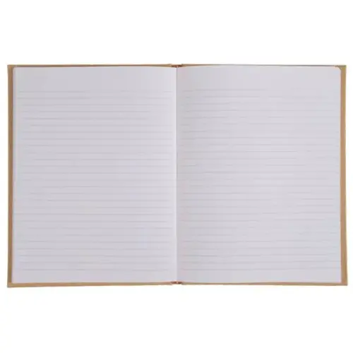 REG NATURE 170x110 192P LIGNE MARRON FSC&reg; photo du produit