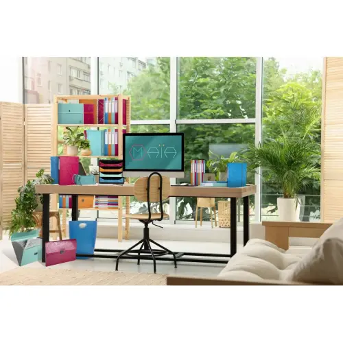 Classeur 2anx 30mm PP A4+ Maia col.ass. photo du produit