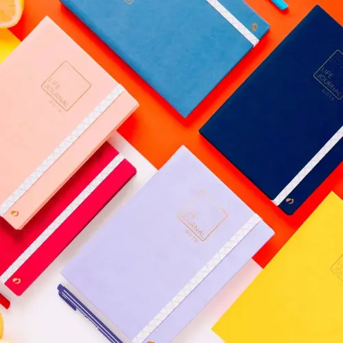 CARNET 21 dots Life Journal prune El photo du produit