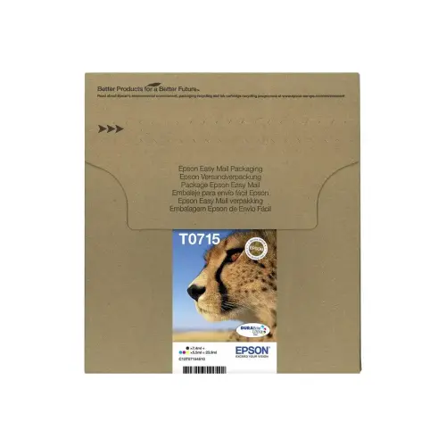 EPSON Jet d'encre T071 EASYMAIL MULTIPACK photo du produit
