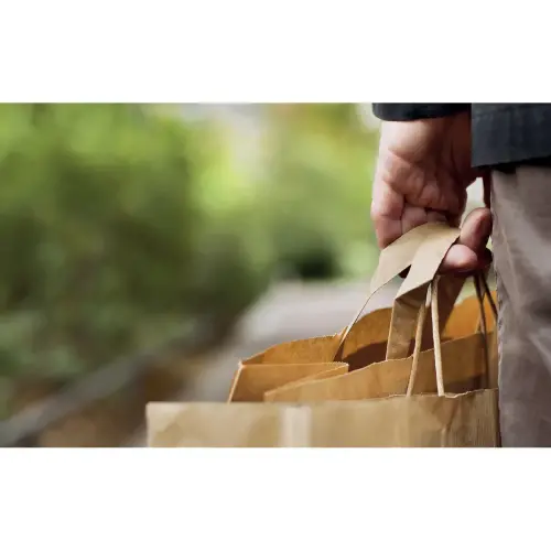 Paq 50 sacs 18x8x21 kraft brun photo du produit