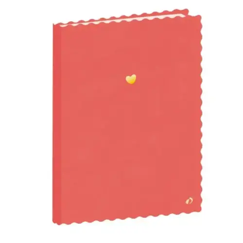 CARNET 21 ligne Fantaisie festonne rose photo du produit