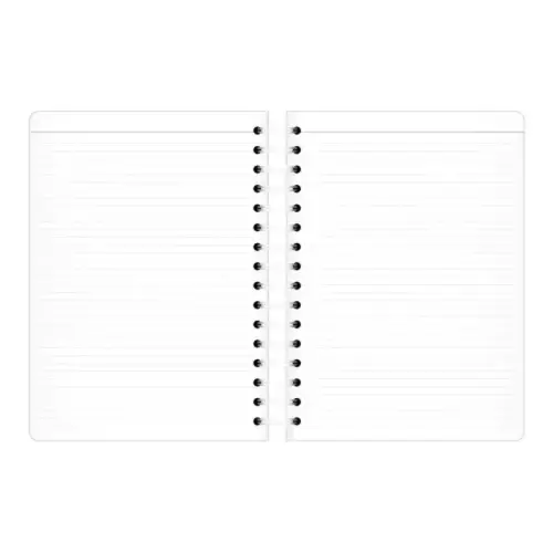 CARNET 15 S ligne rech s/f photo du produit