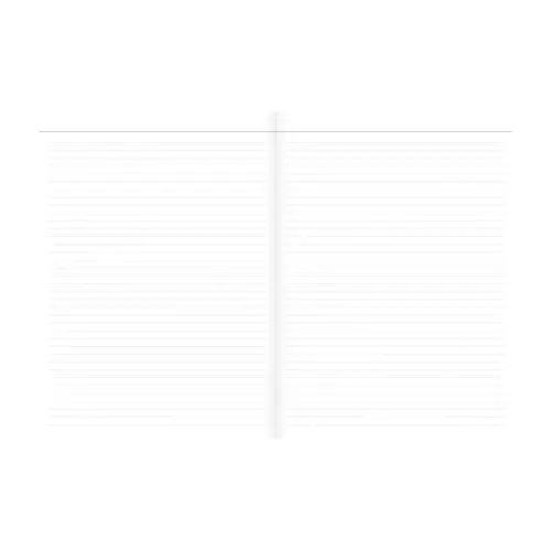 CARNET 21 ligne Iconiq rayures photo du produit