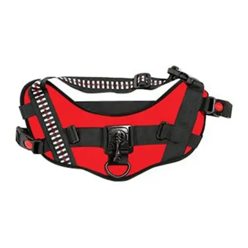 Gilet ACTIVEON 360 pour chien photo du produit