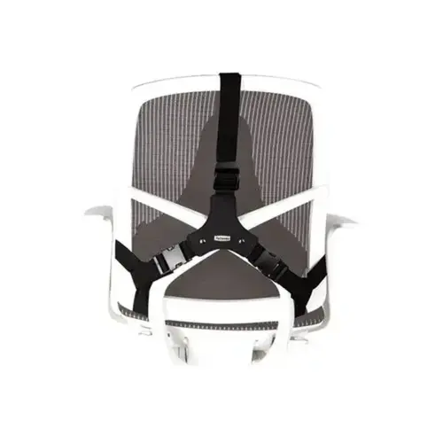 FELLOWES PRO SERIES SUPPORT DORSAL ULT photo du produit
