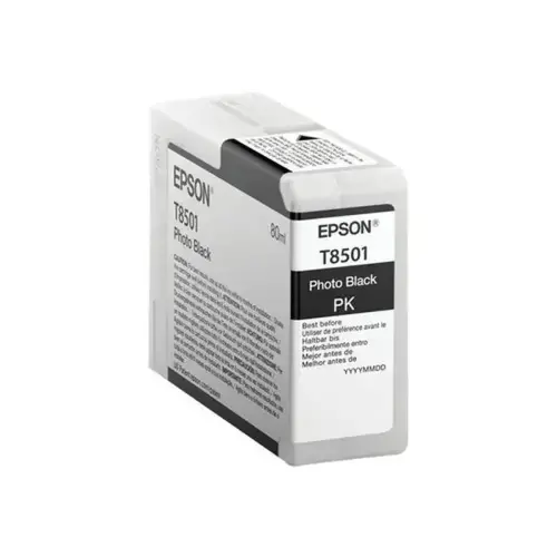 EPSON Singlepack Photo Black T850100 photo du produit
