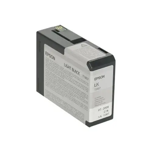 Epson encre gris pour STYLUS PR photo du produit