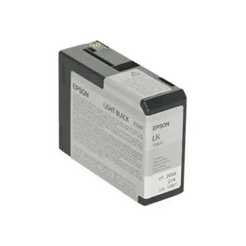 Epson encre gris pour STYLUS PR photo du produit