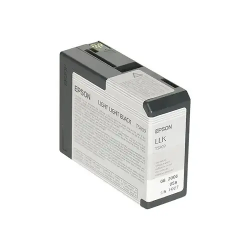 Epson encre gris clair pour STY photo du produit