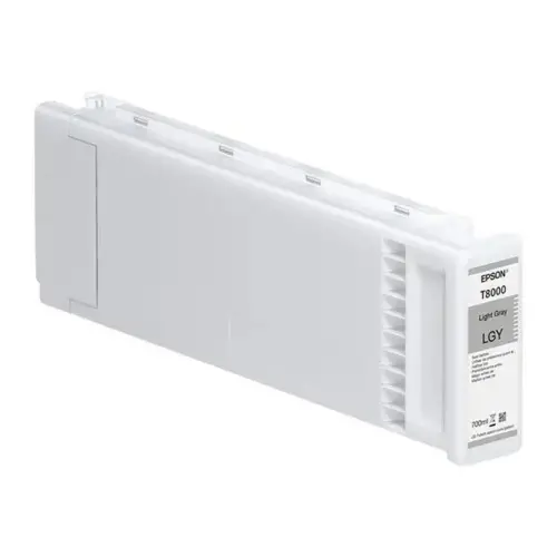 EPSON Singlepack Light Gray T800000 photo du produit