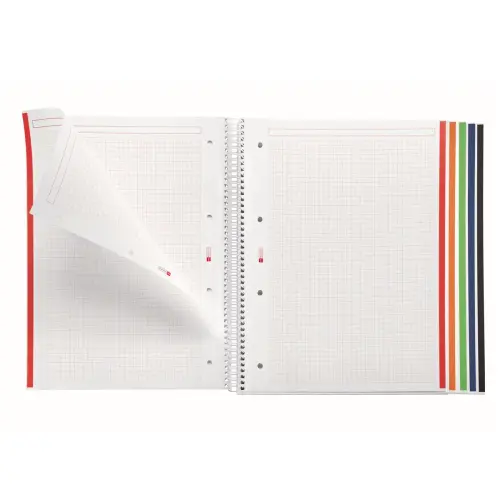 Notebook Emotions Rigide A4 Quadrill&eacute; 5 x 5 mm 120 feuilles 5 couleurs Rouge - Miquel Rius photo du produit
