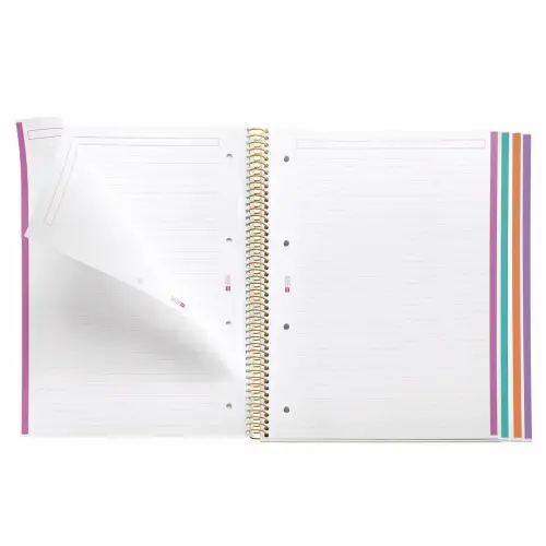 Notebook Lifestyle Rigide A4 Lign&eacute; 7mm 120feuil. 4coul. Serendipity photo du produit