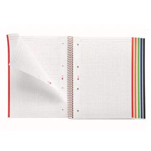 Notebook Emotions Souple A4 Quadrill&eacute; 5 x 5 mm 120 feuilles 5 couleurs Lime - Miquel Rius photo du produit