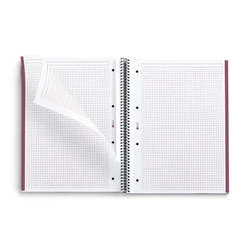 Notebook The Original Rigide A4 Quadrillé 5 x 5 mm 80 feuilles Sable - Miquel Rius photo du produit