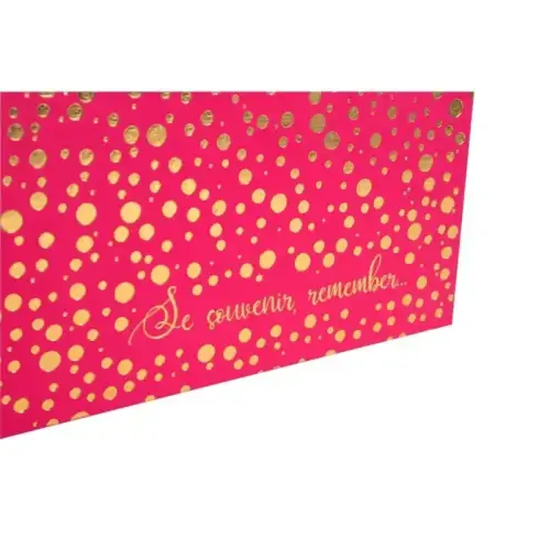 Livre album Plum - 30 pages - 25 x 25 cm - Framboise - Exacompta photo du produit