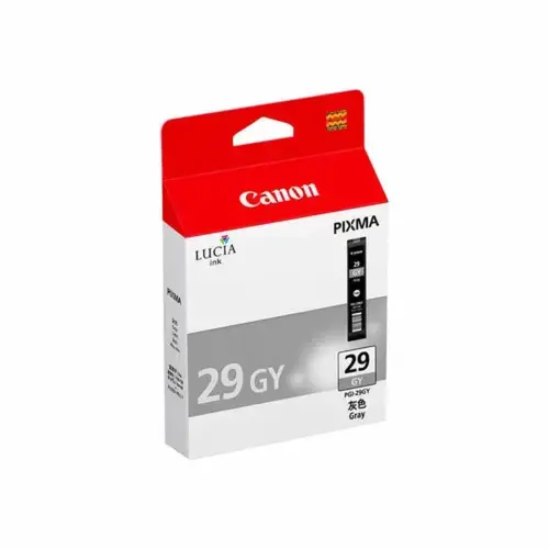 Canon 4871B001 Ink Jet PGI-29 GY NICHE photo du produit
