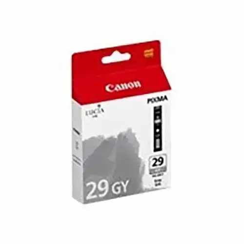 Canon 4871B001 Ink Jet PGI-29 GY NICHE photo du produit