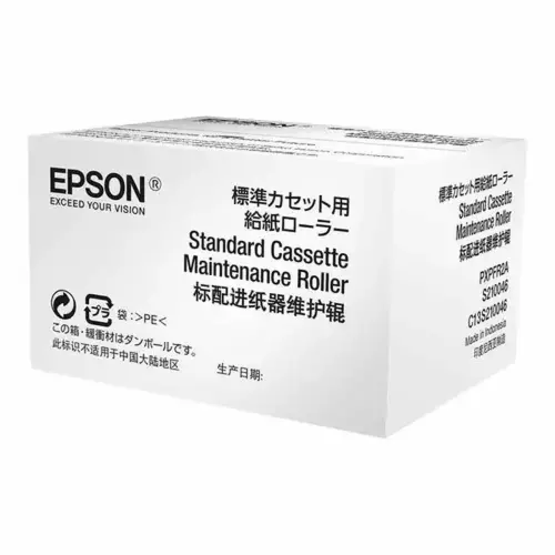 Cartouche d'encre C13S210048 RIPS - Epson photo du produit