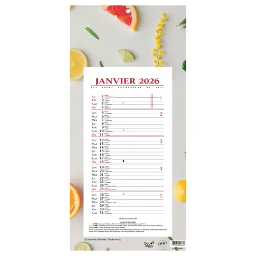 CAL BLOC MENSUEL 16X33,5 FR Agrumes p10 photo du produit