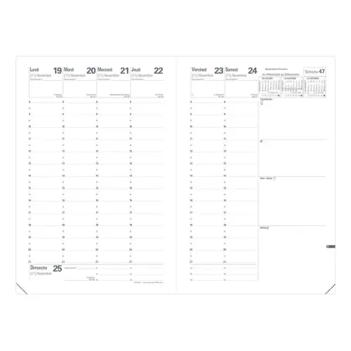 MINISTRE FR Calypso rose irisé photo du produit