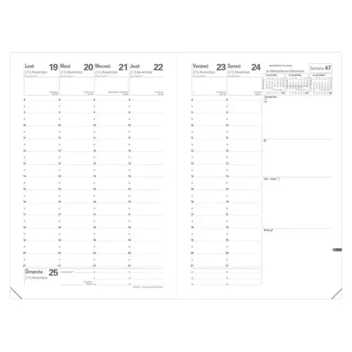 MINISTRE FR Tania lilas photo du produit