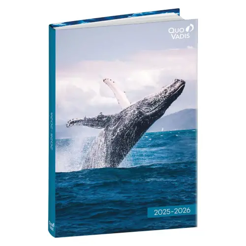 EUROTEXTAGENDA ML Potes sauvages par 8 photo du produit