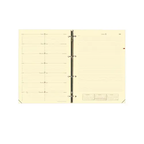 TIMER 29 NOTES FR rech s/f photo du produit