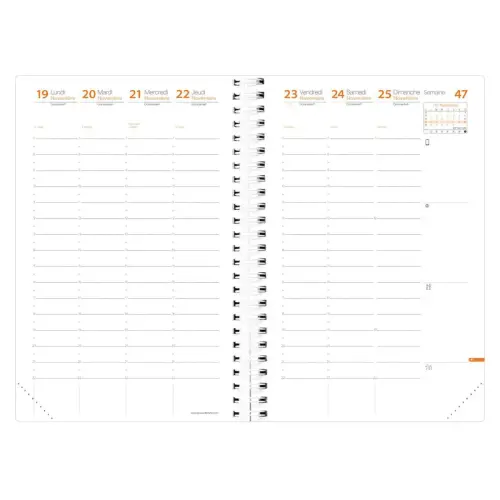 TIME&LIFE LARGE rep FR rose irisé Elast photo du produit