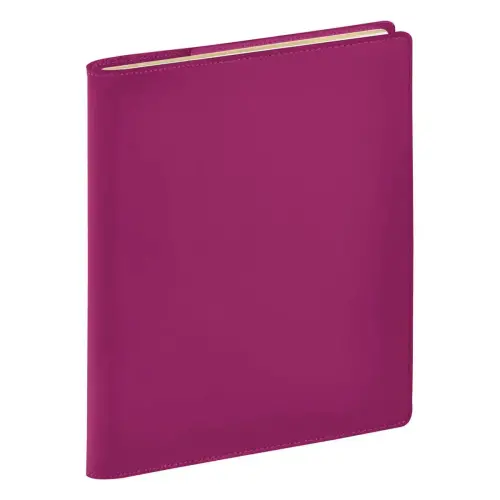 AG S ABSEM 1521 TD ML Tozza framboi photo du produit