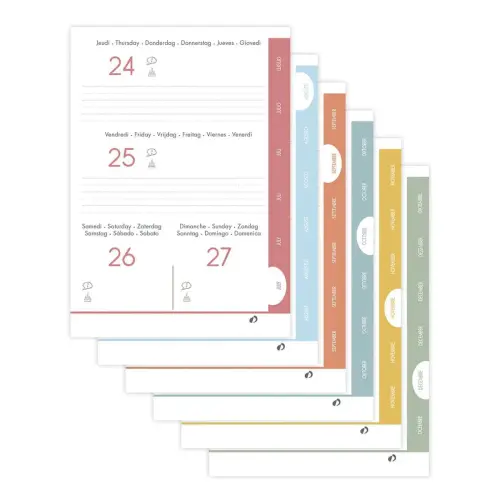 EUROTEXTAGENDA ML One Way skate photo du produit