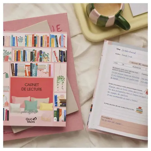CARNET 21 LECTURE FR biblioth&egrave;que photo du produit