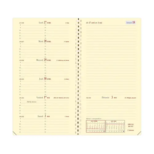 ITALNOTE S rep FR Soho parme photo du produit