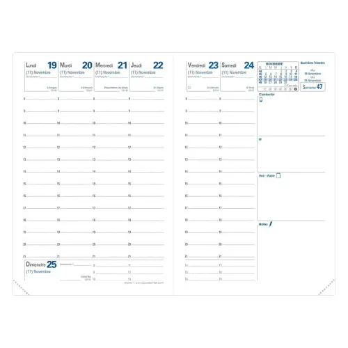 AFFAIRES rep FR Constance rose photo du produit