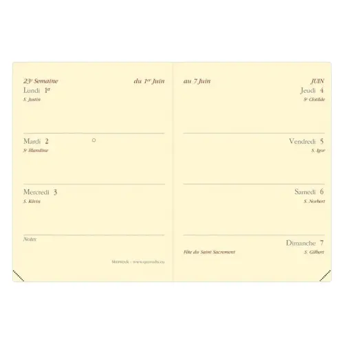 MINIWEEK pm FR Soho rose photo du produit