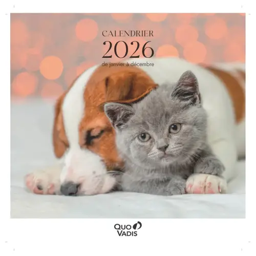 CAL FEUILLES 30X30 FR animaux par 5 photo du produit