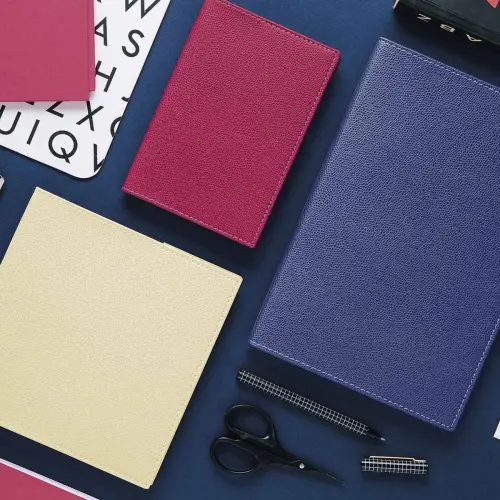 LE PROFESSEUR FR Club navy photo du produit