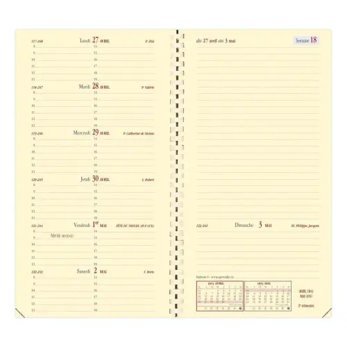 ITALNOTE S rep FR Soho rose photo du produit