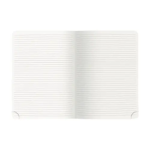 Notebook Mini Labo ligné Ivoire photo du produit