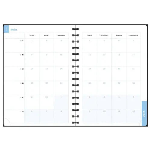 Semainier Lady 20S Sophie Adde Oiseaux photo du produit