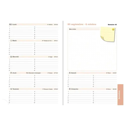 Recharge agenda Lady 20 Tranche Naturelle photo du produit