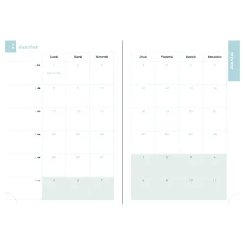 Recharge agenda Lady 20 Tranche Naturelle photo du produit