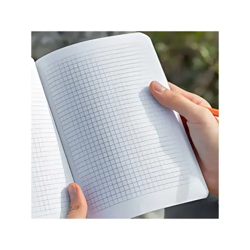 sigel Carnet de notes Re-Up, A5, lign&eacute;, gris clair photo du produit