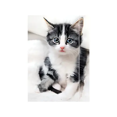 RNK Verlag Carton à dessin 'Chaton', A3 photo du produit