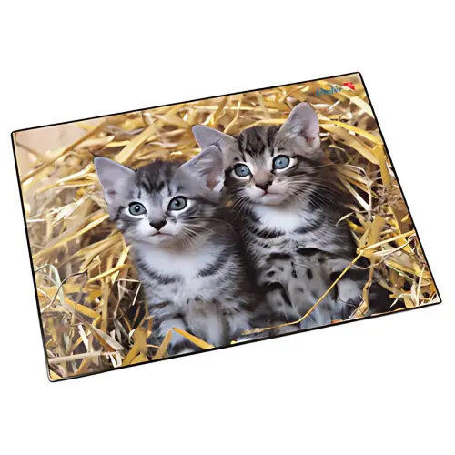 Läufer Sous-main 'chats dans les pailles', 400 x 530 mm photo du produit