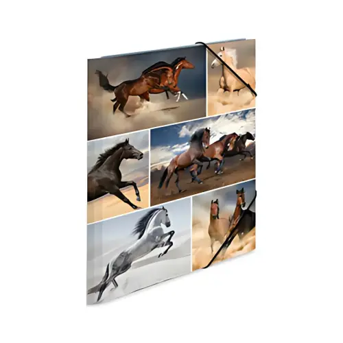 HERMA Chemise à élastiques 'chats', en carton, photo du produit